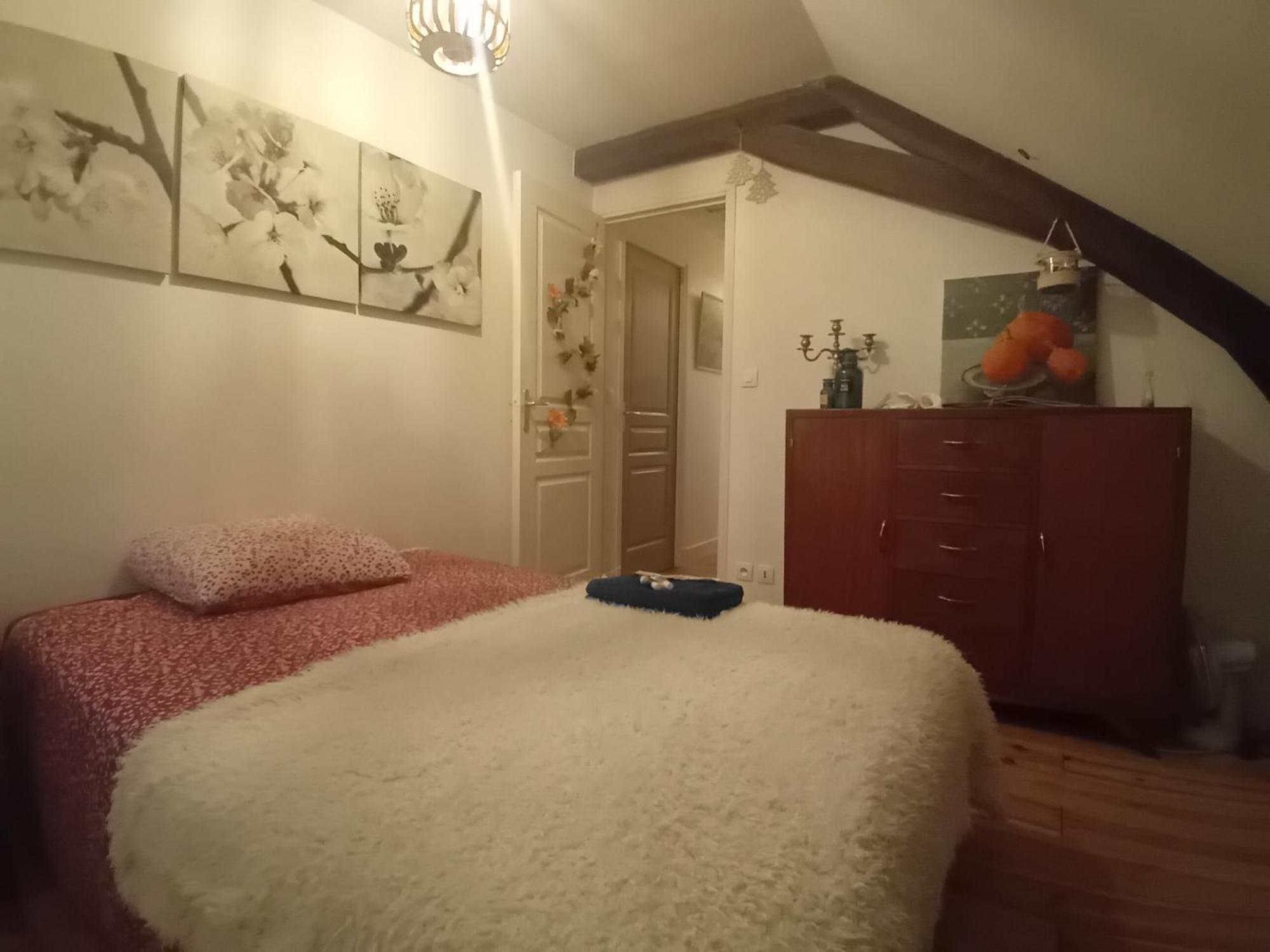 Chez Isa Chambre Chez L'Habitant Emma Montlouis-sur-Loire Dış mekan fotoğraf